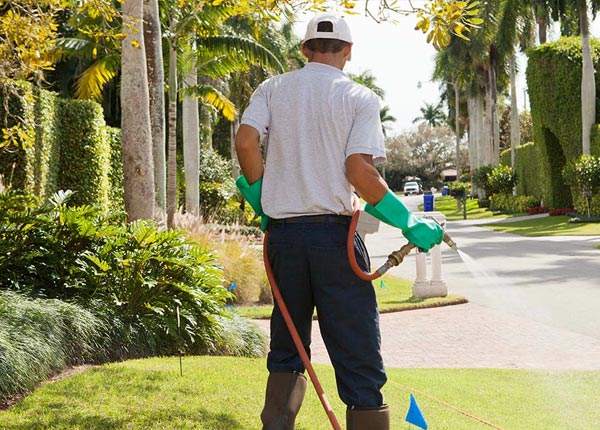 About Ansted WV Pest Control